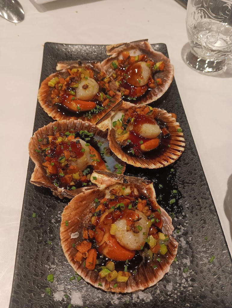 DiVicnus Restaurant — Pectinidae