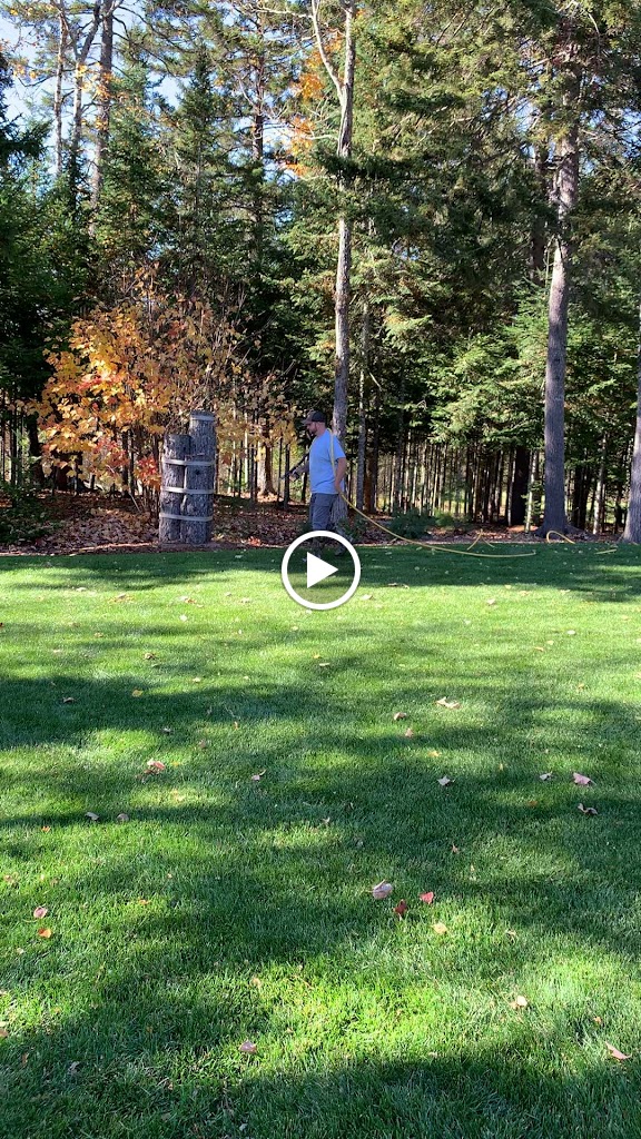 Videos