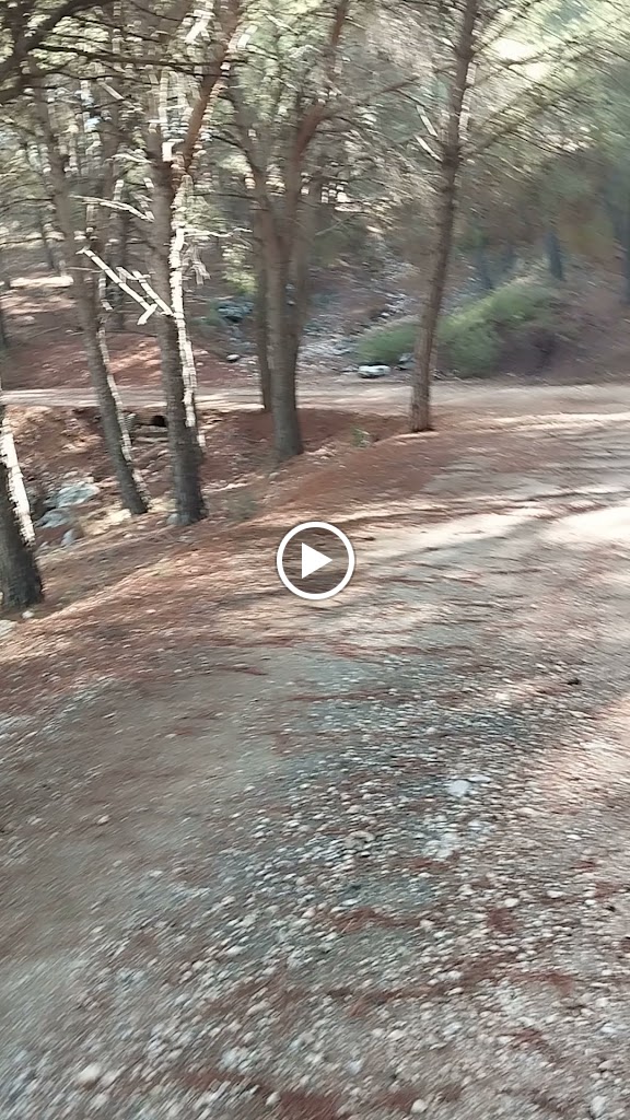Sendero Fuente Del Acebuche — Videos