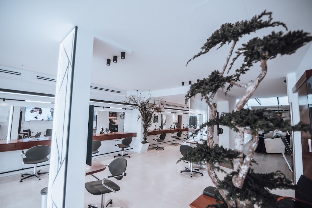 Salon Sinuan Art Hair Villena (Llongueras) — Mas recientes