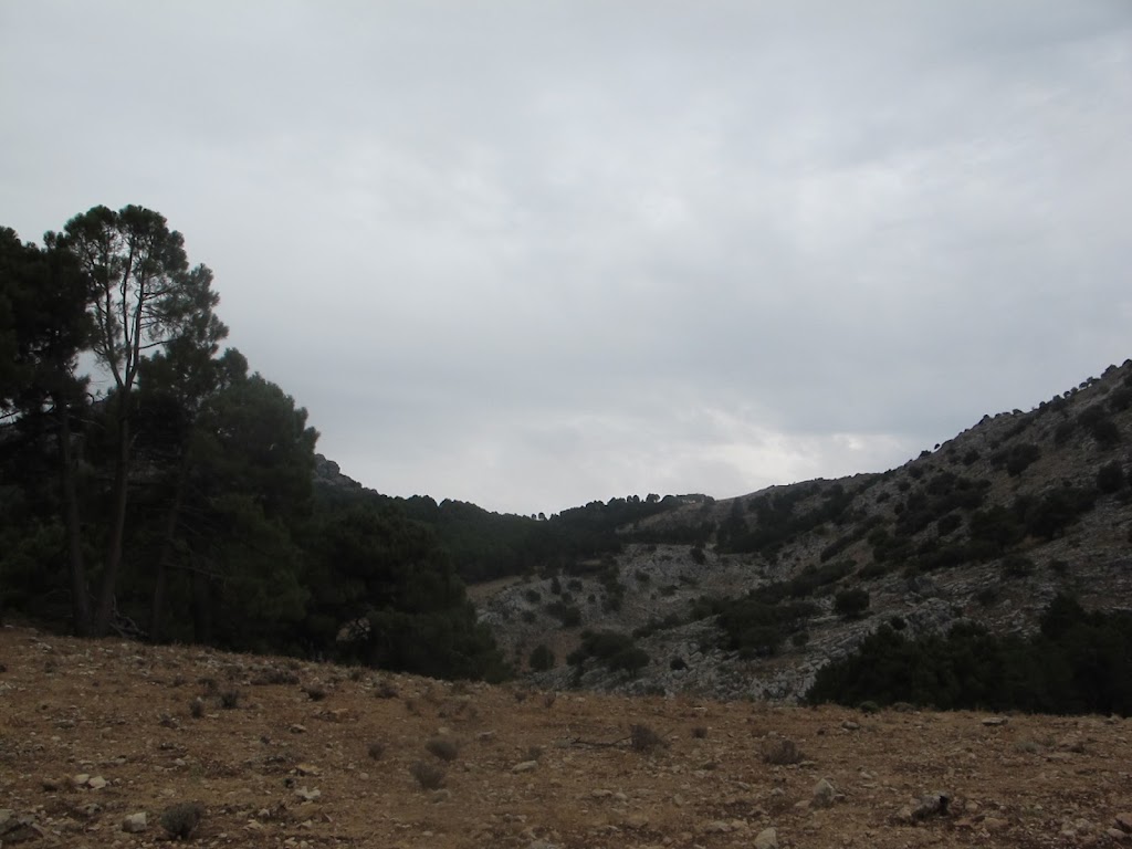 Prado Redondo