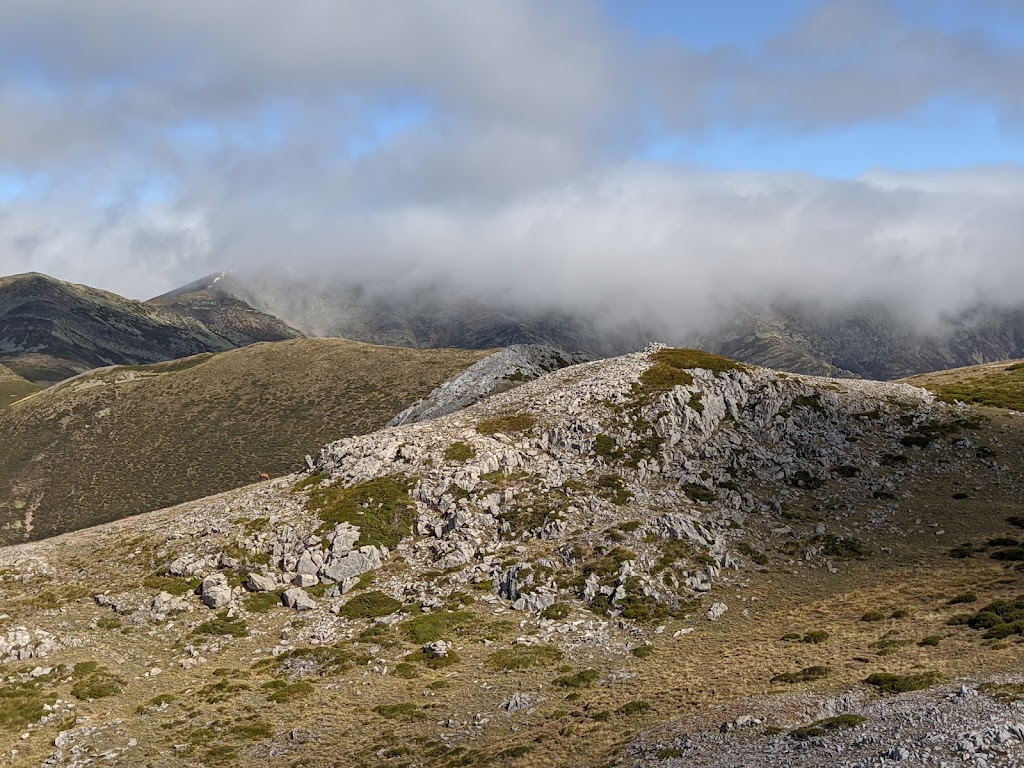 Alto del Tejo
