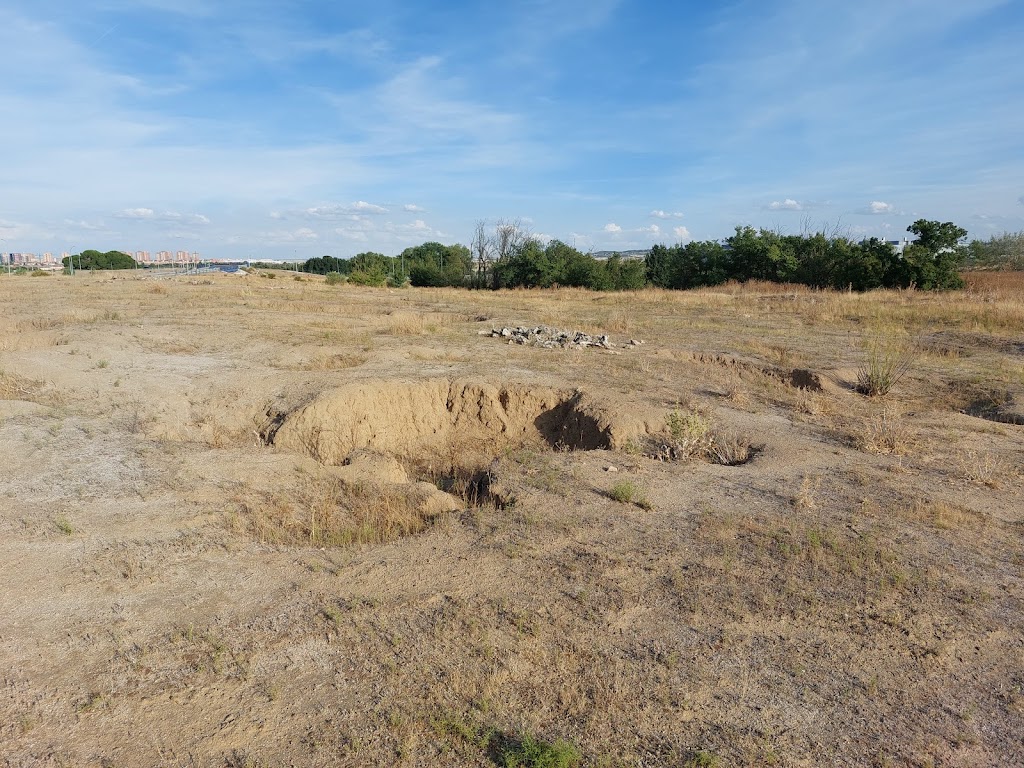 Yacimiento funerario de Humanejos