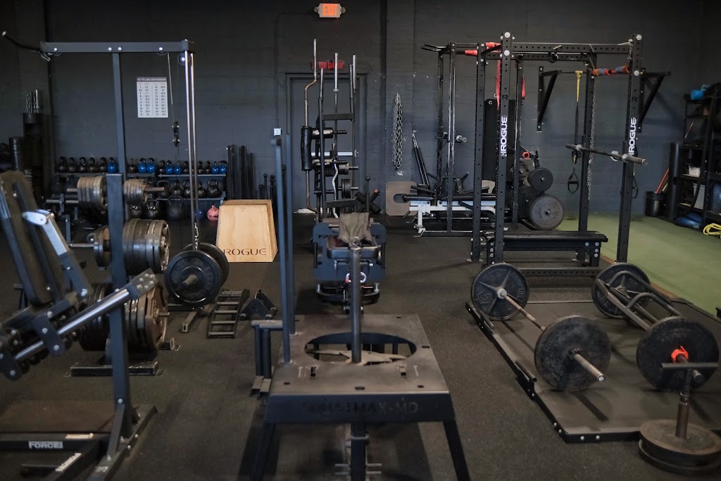  Active Movement & Performance