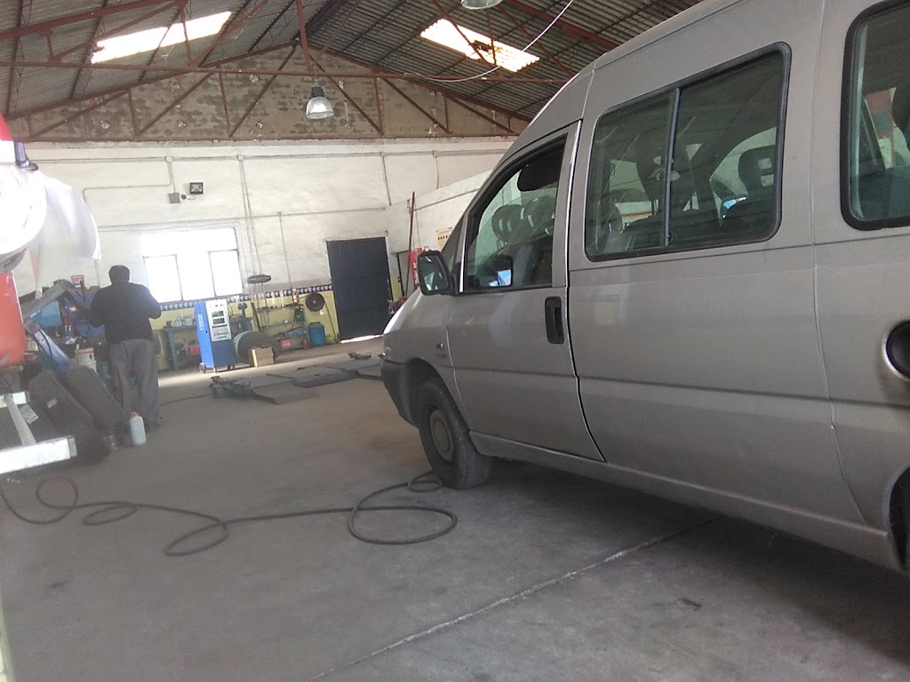 Confortauto Neumaticos Amoros Peralta — Interior