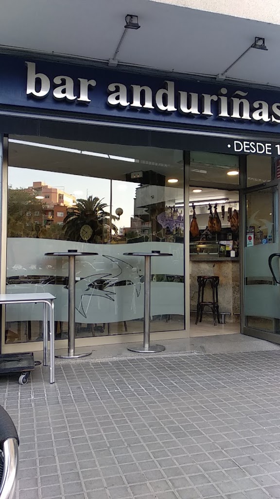 BAR ANDURINAS