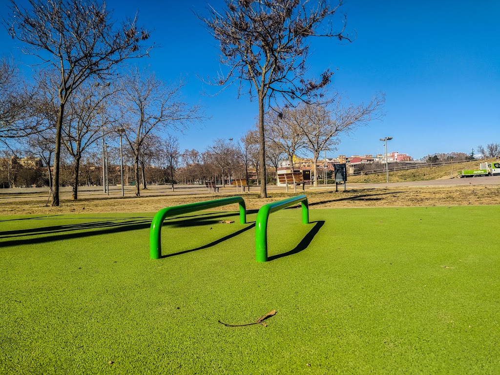 Street Workout BarManiaPro