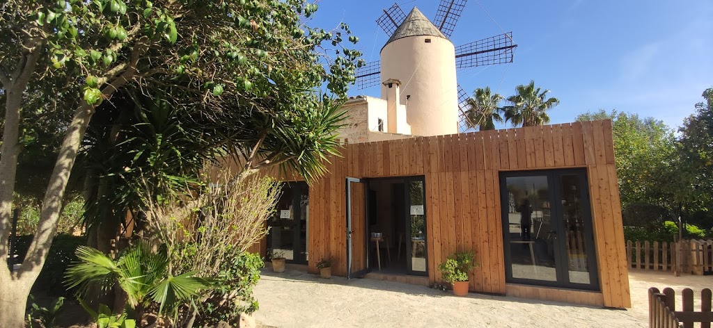 The Montessori School of Mallorca
