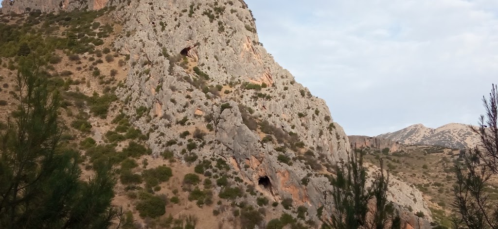 Navaltrillo