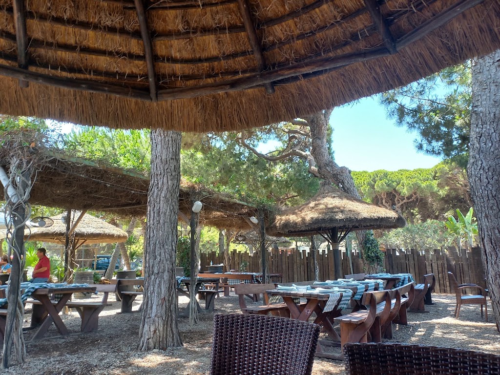 Restaurante El Pinar — Ambiente