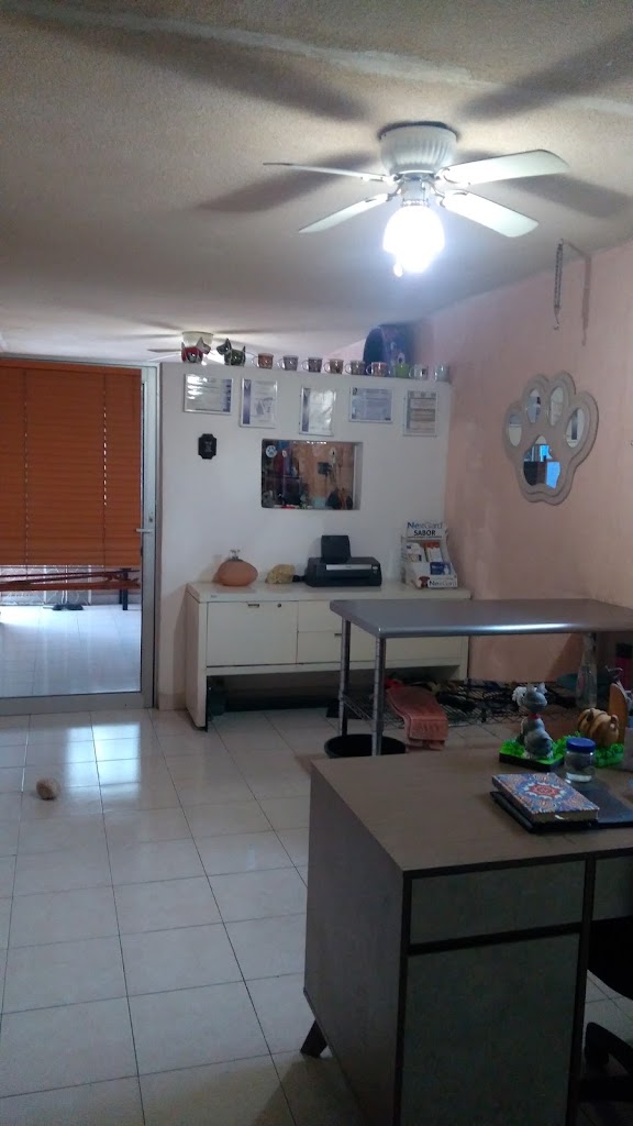 Clinica Veterinaria y Estetica "CANYCAT" — Del propietario