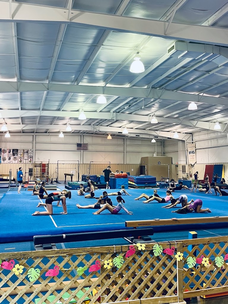  Dance Moves And Gymnastics