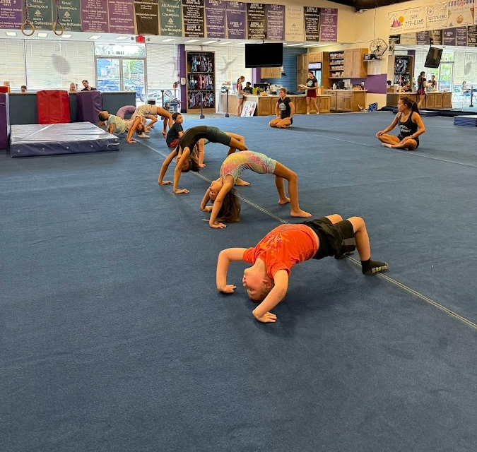  Summit Gymnastics Academy