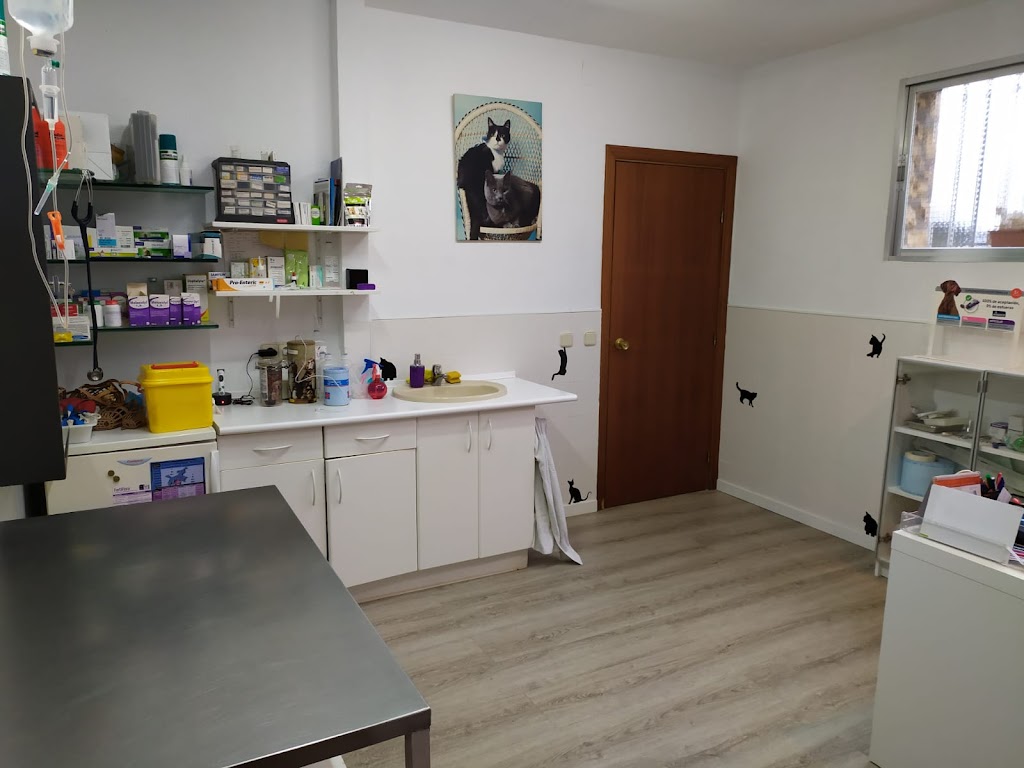 CLINICA VETERINARIA Parque de las Castillas - DOLORES ASPE