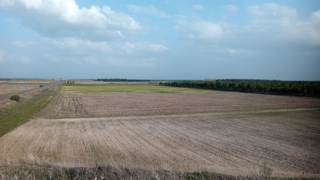 Camino Natural Via Verde del Valle del Eresma (Nava de la Asuncion)