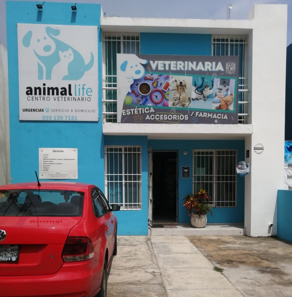 Animal Life Centro Veterinario — Del propietario