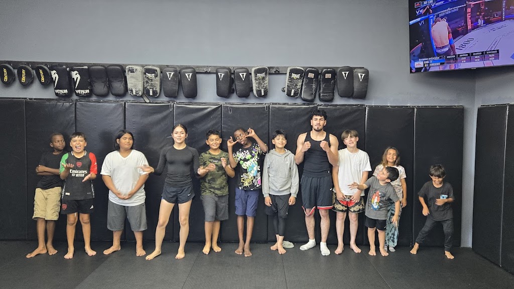  IB MMA Mixed Martial Arts