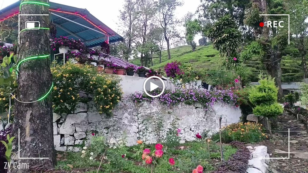 Videos