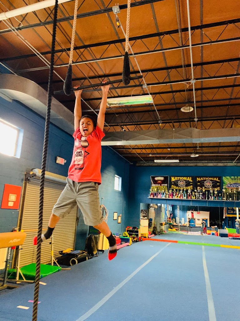  Tumblemania School-Gymnastics