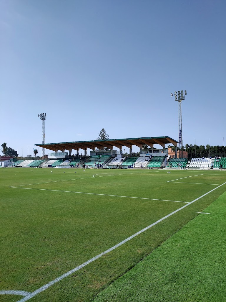 Estadio El Palmar