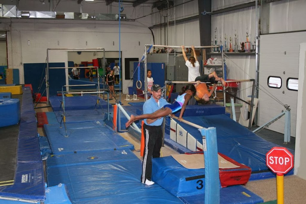  Kinetic Kids Gymnastics