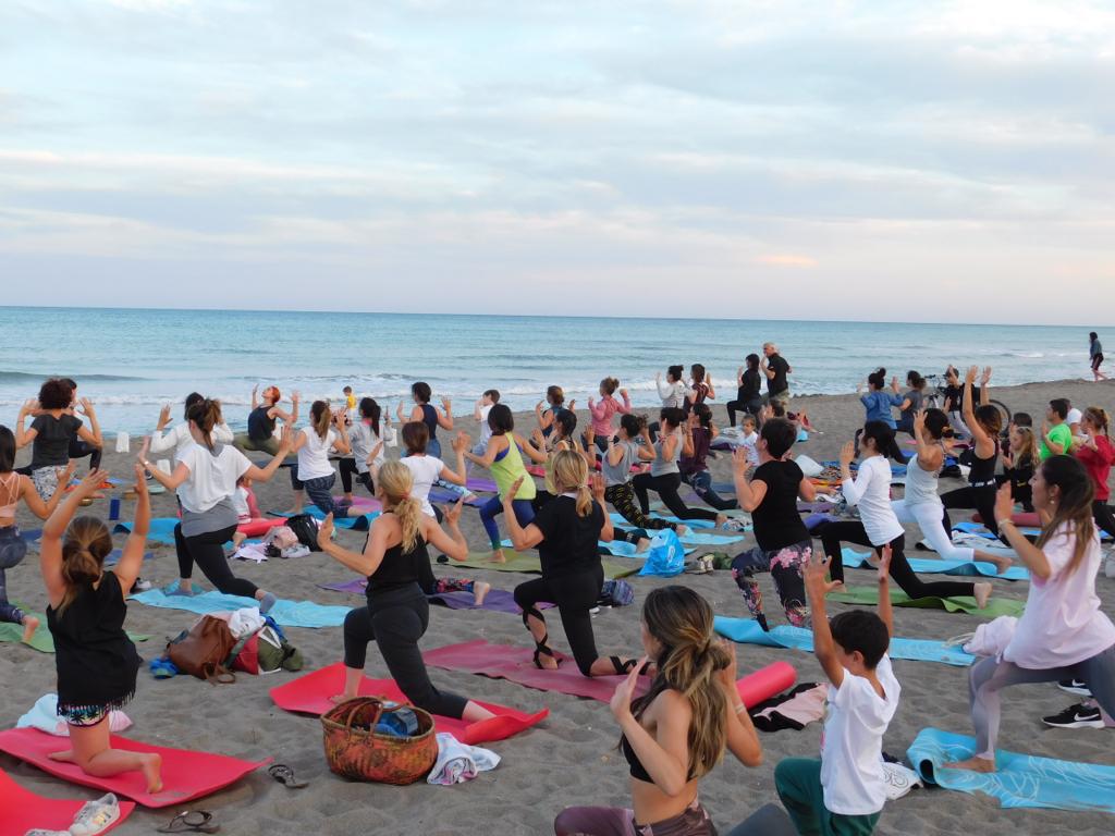 Calma Studio - Yoga & Mindfulness — Yoga
