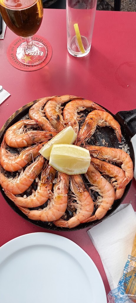 Sociedad Cultura Deporte Recreo Casa del Miedo — Comida y bebida