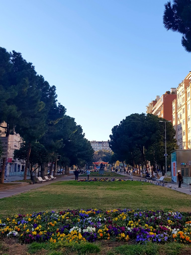 Av. Pau Casals/Francesc Macia (SABA)