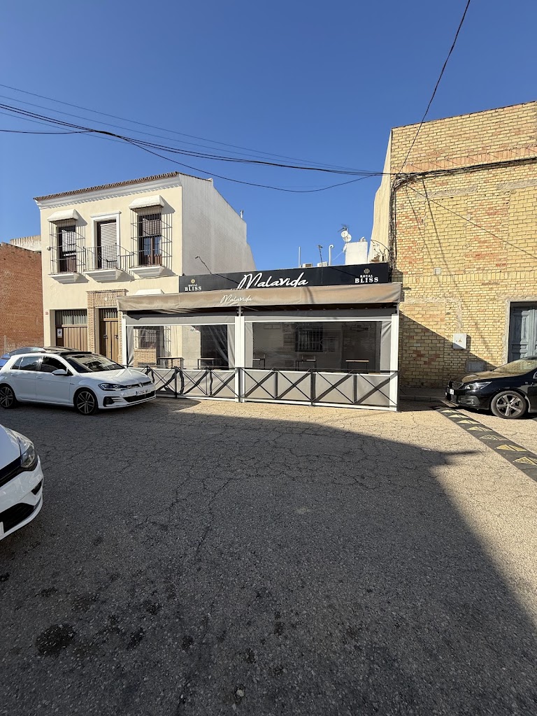 Pub Malavida — Del propietario