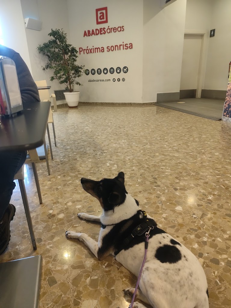 Area de servicio Abades Manzanil — Mas recientes