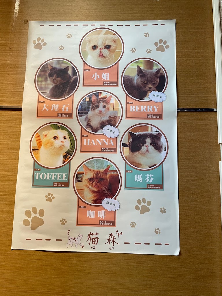 猫森咖啡nekomoricafe 的照片