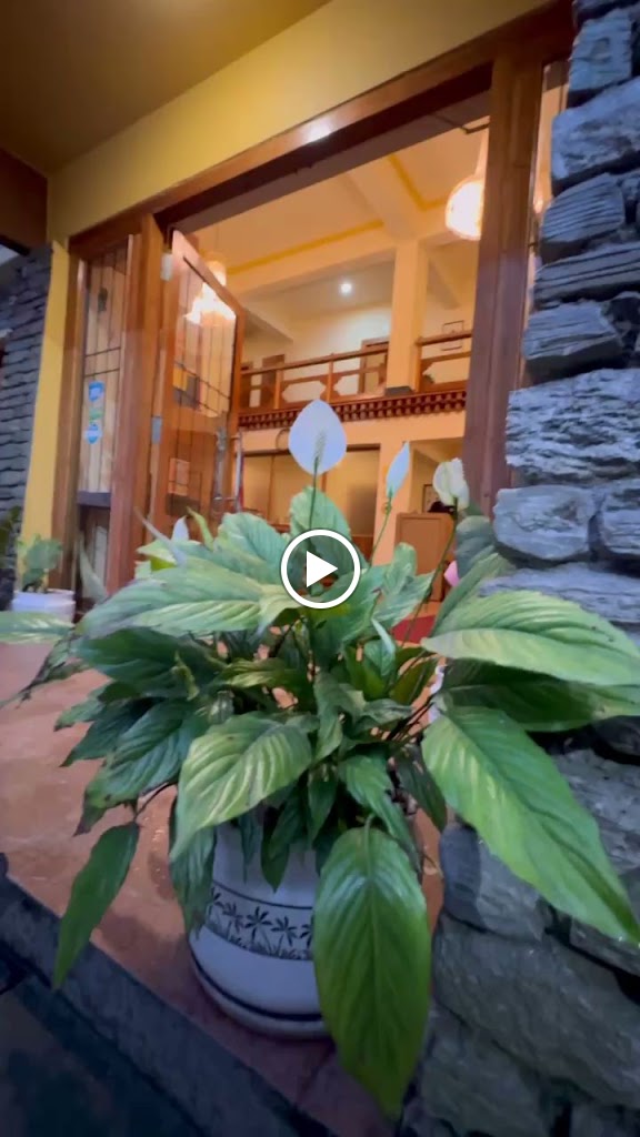 Videos