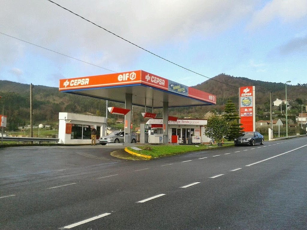 Peineto, S.L. - Cepsa