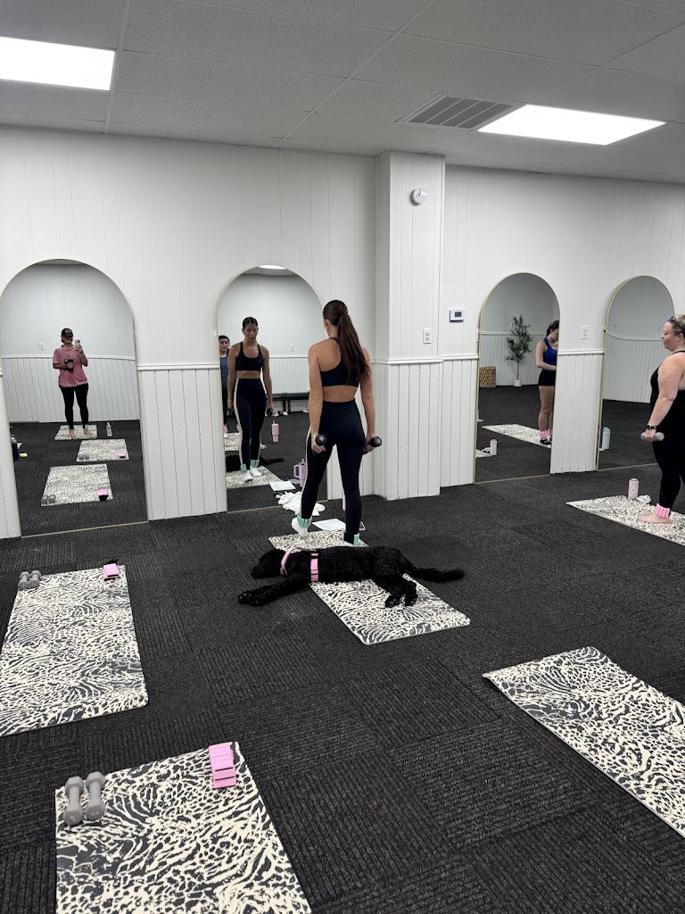  Puppies and PiLattes