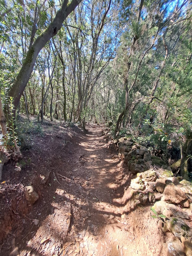 Pista a Las Calderetas