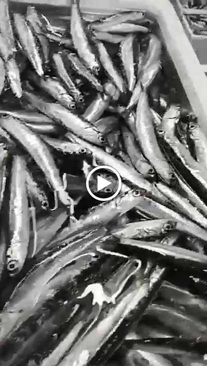 Restaurant Can Rafa — Videos