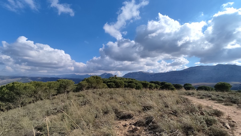 Pinar del Hacho