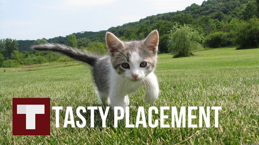 Tastyplacement Seo