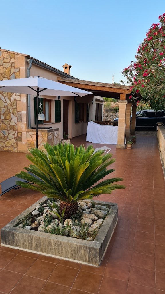 S'Alzinar de Ses Berraques