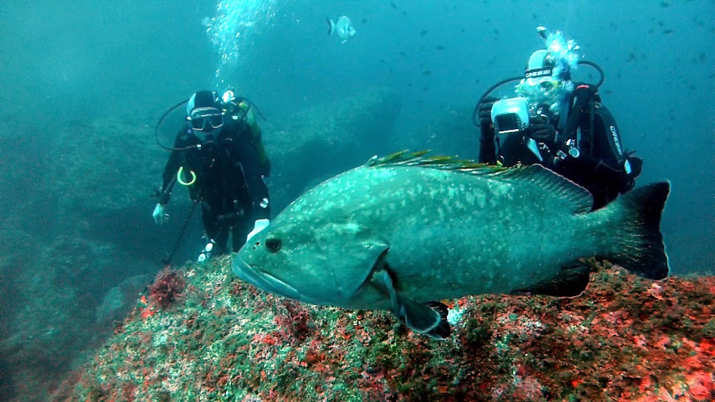 Unisub Granollers (Escuela de Submarinismo)