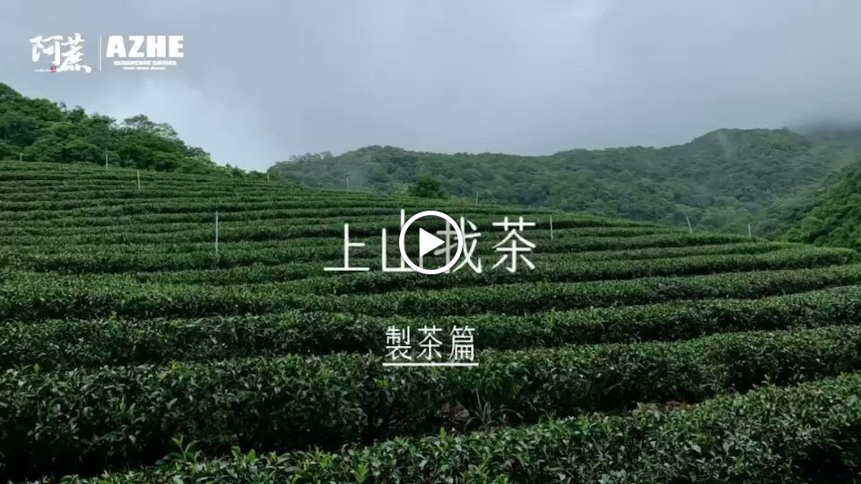 阿蔗甘蔗冰茶(屏東廣東店) 的照片