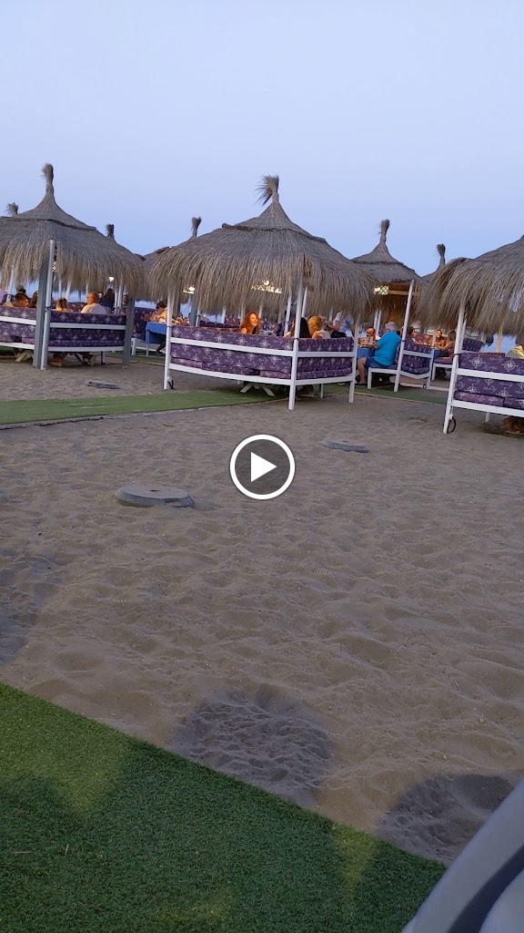 Shamba — Videos