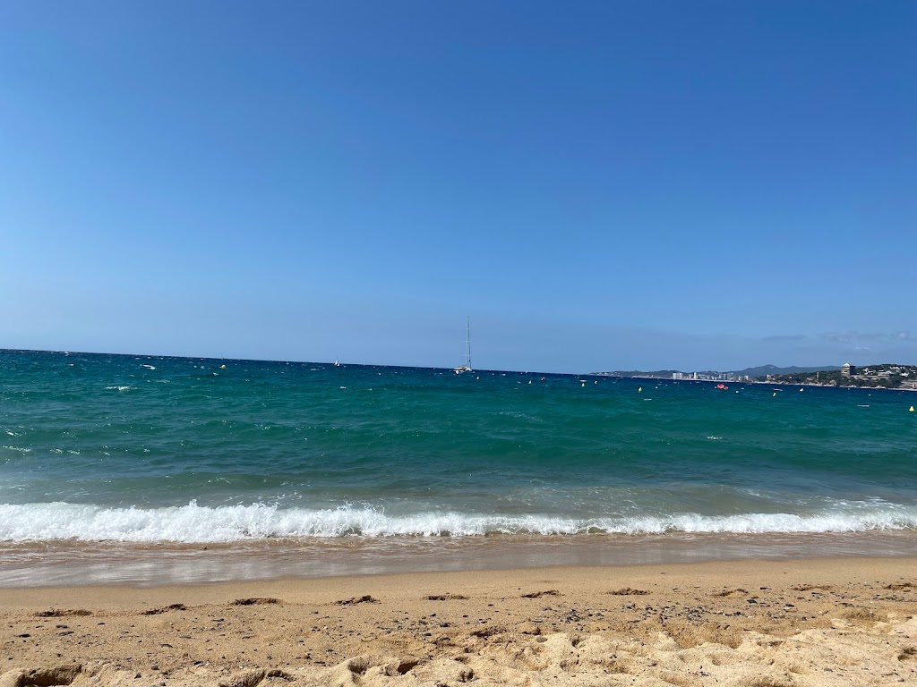 Cano del segle XVIII