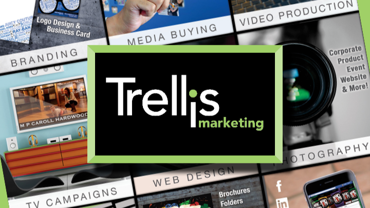 Trellis Marketing Inc