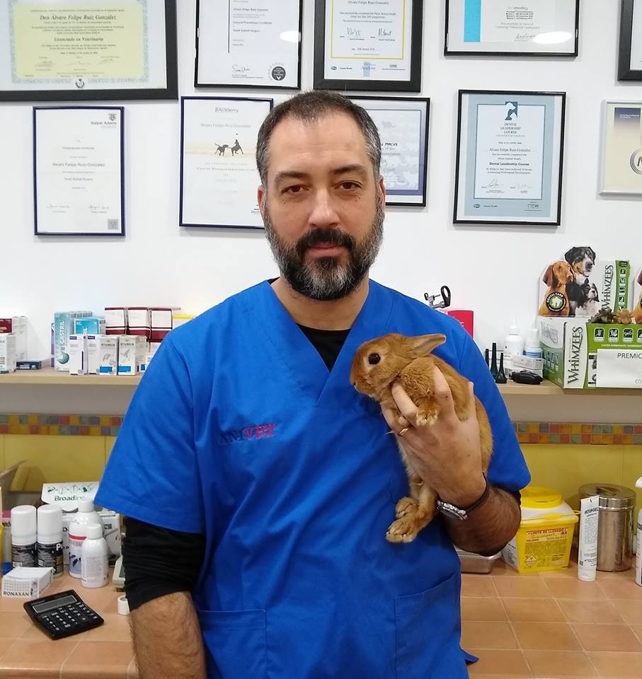 Centro Veterinario Anivet — Conejo