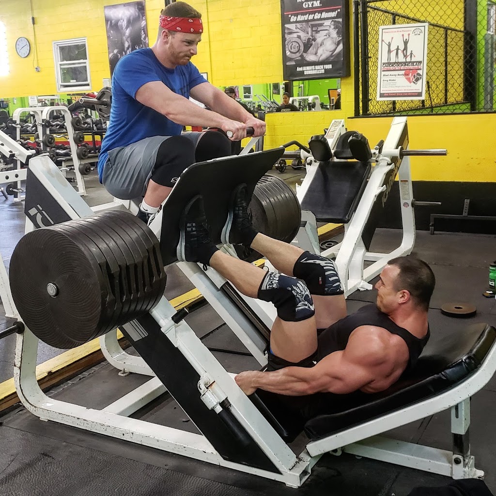  Peak Physique Fitness