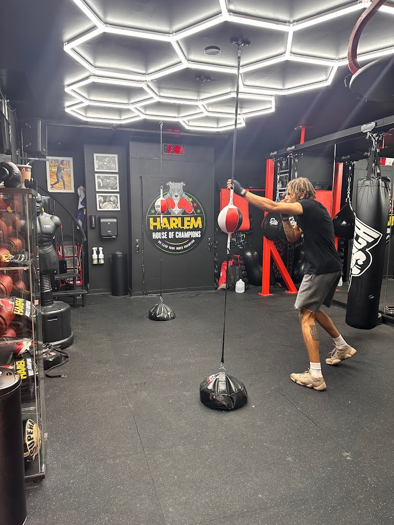 Harlem House of Champions