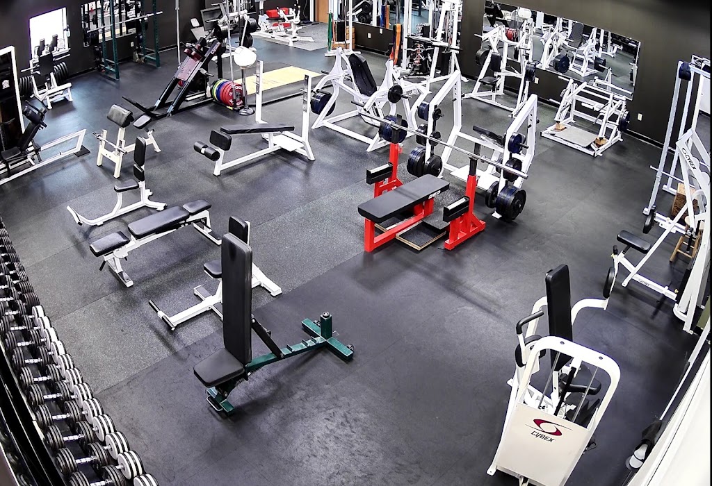  Black Flag Strength - York