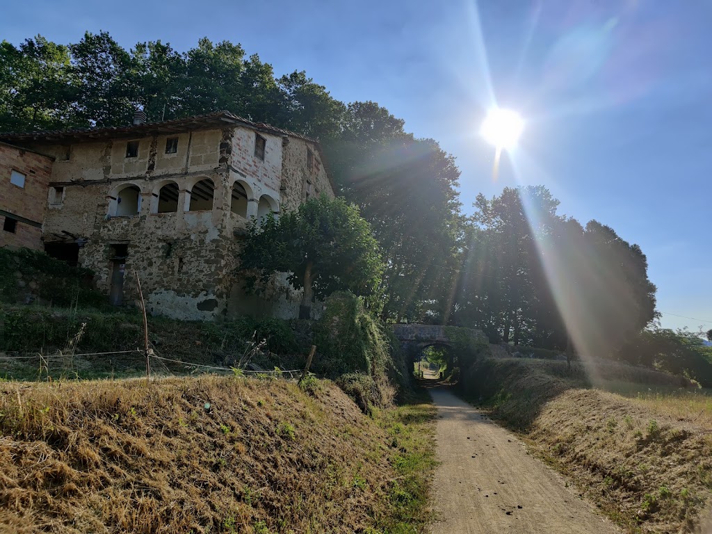 Ruta verda d'Olot a Girona