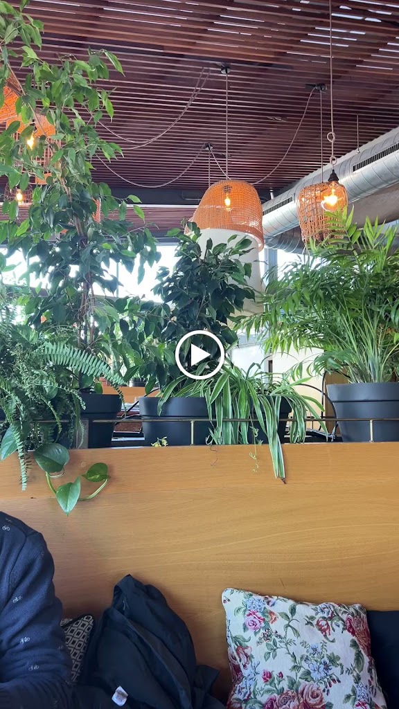 Tinglado Restaurante & Club — Ambiente